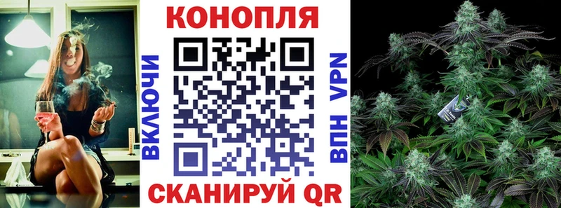 Купить закладки  Лысково  Канабис сатива 